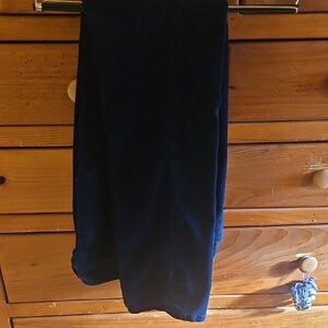 Talbots Navy Blue 5-Pocket Pants
